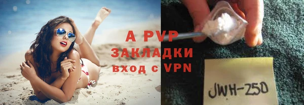 стаф Дмитров