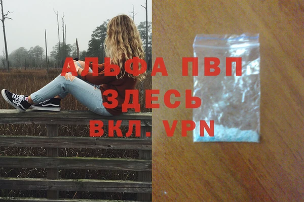 индика Горно-Алтайск