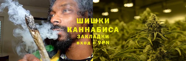 прущие крисы Гусев