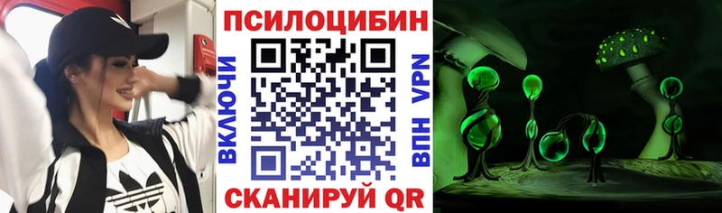 кракен   Дедовск  Галлюциногенные грибы мицелий 